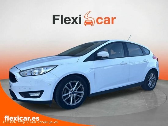 Ford Focus 1.0 Ecoboost 125cv  - 5 P (2016) - Cabrera de Mar