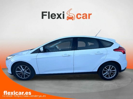 Ford Focus 1.0 Ecoboost 125cv  - 5 P (2016) - Cabrera de Mar