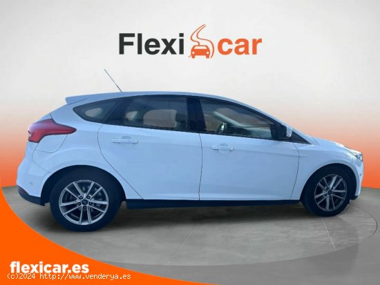 Ford Focus 1.0 Ecoboost 125cv  - 5 P (2016) - Cabrera de Mar