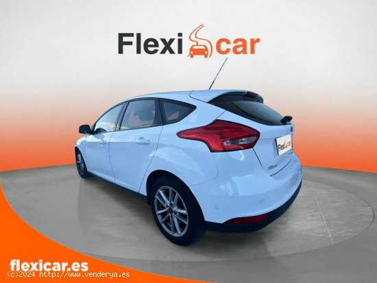 Ford Focus 1.0 Ecoboost 125cv  - 5 P (2016) - Cabrera de Mar