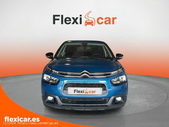 Citroën C4 Cactus PureTech 96kW (130CV) S&S Shine - Sant Just Desvern