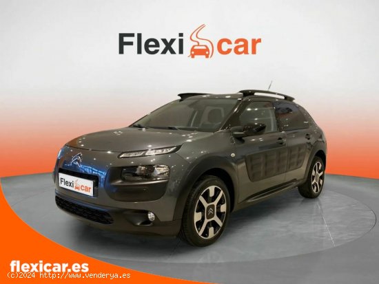 Citroën C4 Cactus PureTech 110cv S&S Shine - Alicante