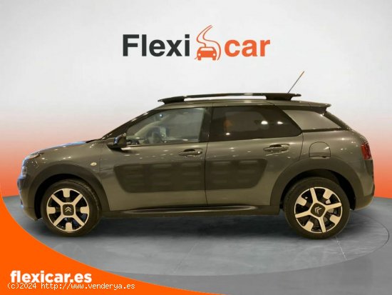 Citroën C4 Cactus PureTech 110cv S&S Shine - Alicante