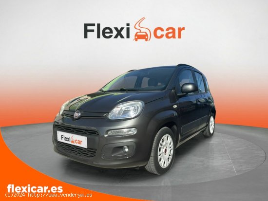 Fiat Panda 1.2 Lounge 51kW (69CV) - Pinto