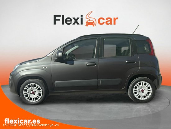 Fiat Panda 1.2 Lounge 51kW (69CV) - Pinto