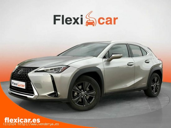 Lexus UX 2.0 250h Business Navigation - Ciudad Real