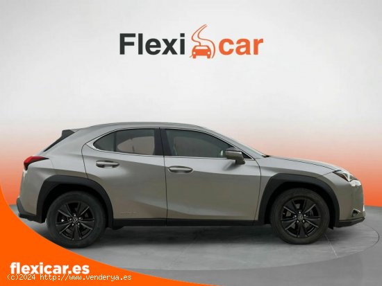 Lexus UX 2.0 250h Business Navigation - Ciudad Real