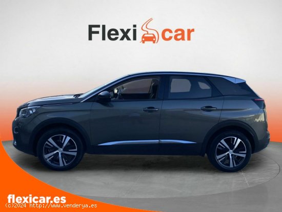 Peugeot 3008 1.6BLUEHDI 120 HP ALLURE S&S - Pamplona