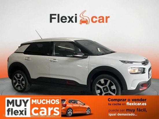  Citroën C4 Cactus BlueHDi 100 S&S Business - Puebla de Sancho Pérez 