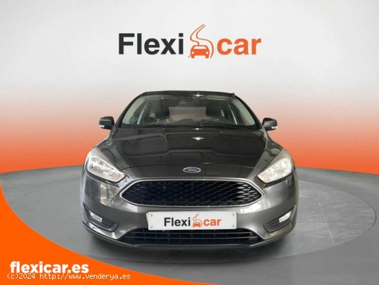 Ford Focus 1.0 Ecoboost S/S 92kW (125CV) ST-Line - Xátiva