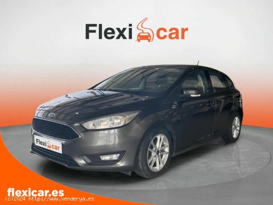 Ford Focus 1.0 Ecoboost S/S 92kW (125CV) ST-Line - Xátiva