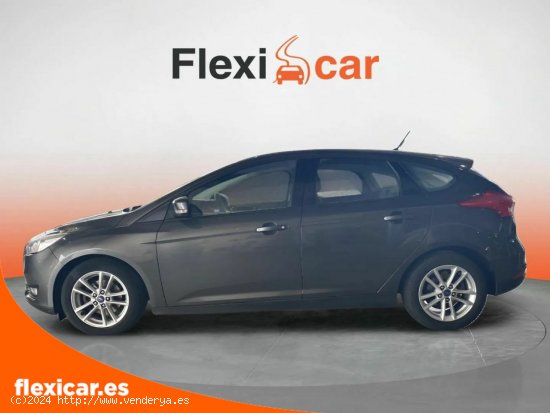 Ford Focus 1.0 Ecoboost S/S 92kW (125CV) ST-Line - Xátiva