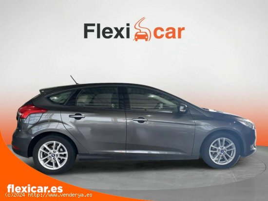 Ford Focus 1.0 Ecoboost S/S 92kW (125CV) ST-Line - Xátiva