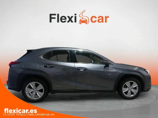 Lexus UX 2.0 250h Business Navigation - San Fernando de Henares