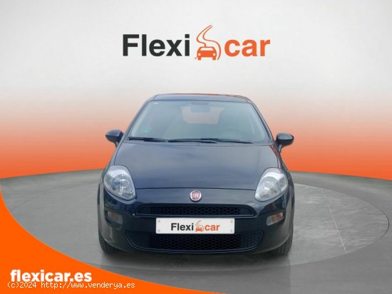 Fiat Punto 1.2 8v 51kW (69CV) Gasolina S&S - Pinto