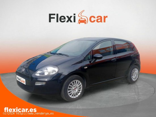 Fiat Punto 1.2 8v 51kW (69CV) Gasolina S&S - Pinto