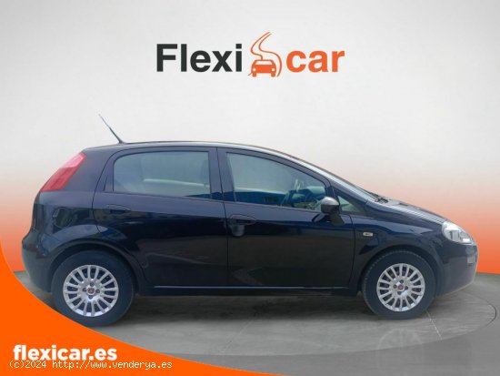 Fiat Punto 1.2 8v 51kW (69CV) Gasolina S&S - Pinto