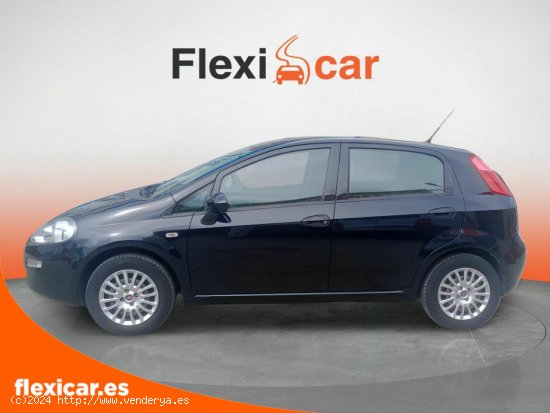 Fiat Punto 1.2 8v 51kW (69CV) Gasolina S&S - Pinto