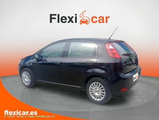 Fiat Punto 1.2 8v 51kW (69CV) Gasolina S&S - Pinto