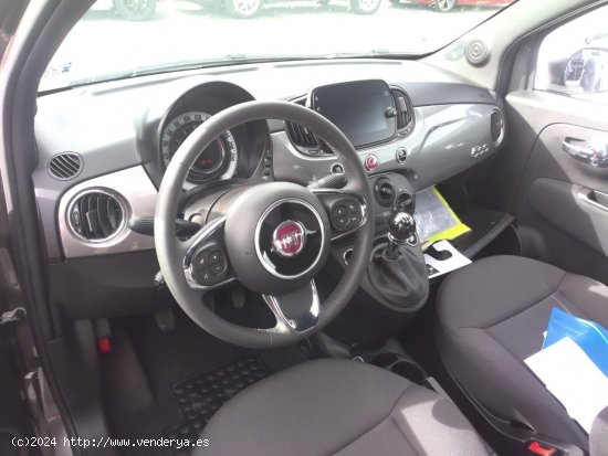 Fiat 500 1.0 Hybrid 51kW (70CV) - TRANSITO