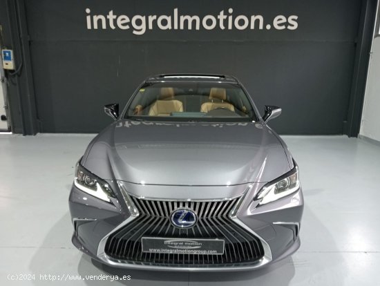 Lexus ES 2.5 300h Executive - Vigo