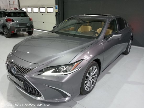 Lexus ES 2.5 300h Executive - Vigo