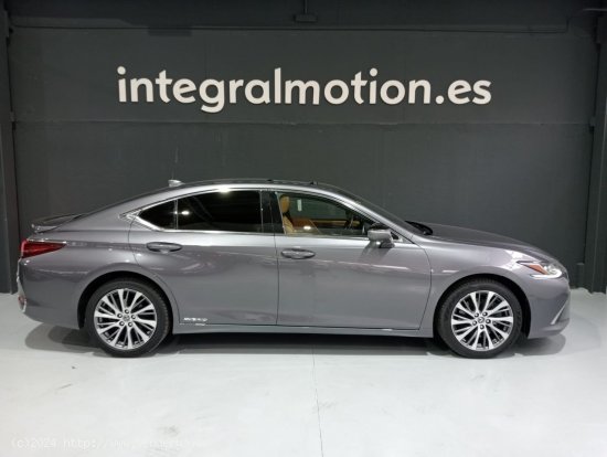 Lexus ES 2.5 300h Executive - Vigo