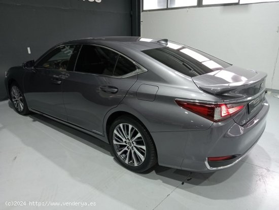 Lexus ES 2.5 300h Executive - Vigo