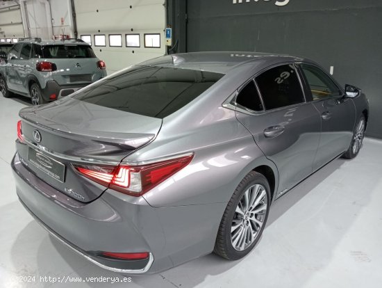 Lexus ES 2.5 300h Executive - Vigo