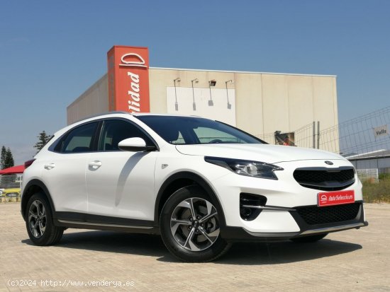 Kia XCeed 1.0 T-GDi Drive 88kW (120CV) blanco 2022 - Carcaixent