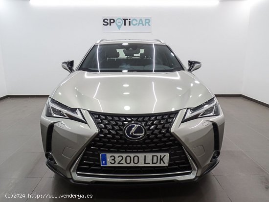 Lexus UX 2.0 250h Business Navigation - Manises