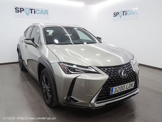 Lexus UX 2.0 250h Business Navigation - Manises