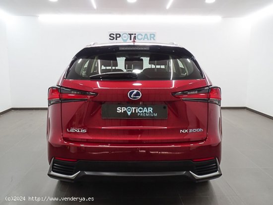 Lexus NX 2.5 300h Business 2WD - Manises