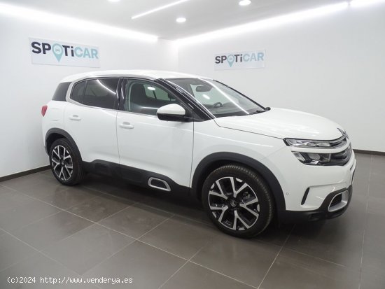 Citroën C5 Aircross BlueHdi 96kW (130CV) S&S Feel - Manises