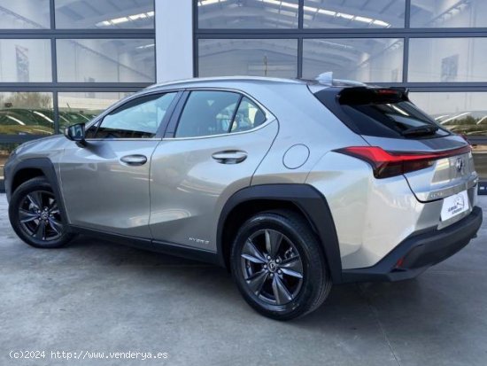 LEXUS UX en venta en Almagro (Ciudad Real) - Almagro