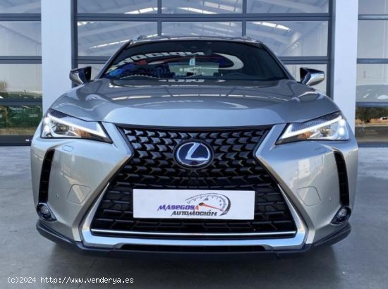 LEXUS UX en venta en Almagro (Ciudad Real) - Almagro