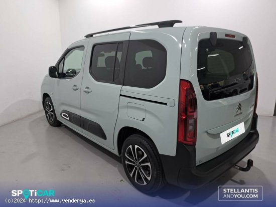 Citroën Berlingo  Talla M BlueHDi 130 S&S EAT8 Shine - Sant Boi de Llobregat