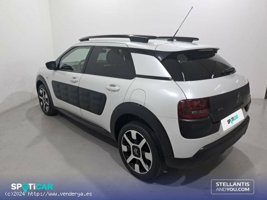 Citroën C4 Cactus  BlueHDi 100 Feel Edition - Sant Boi de Llobregat