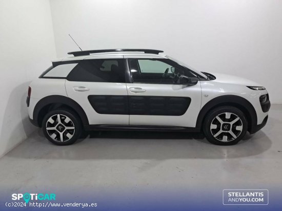 Citroën C4 Cactus  BlueHDi 100 Feel Edition - Sant Boi de Llobregat