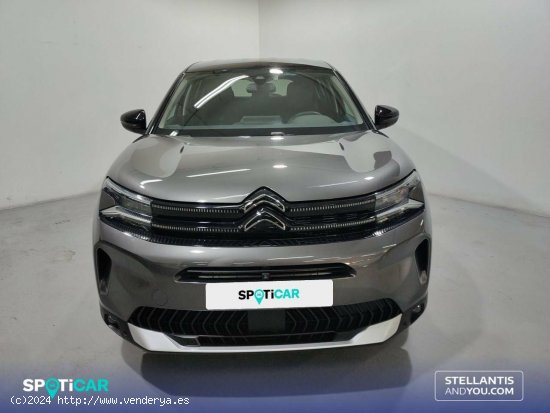 Citroën C5 Aircross  BlueHdi 96kW (130CV) S&S EAT8 Max - Sant Boi de Llobregat