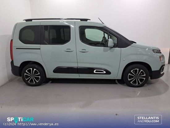 Citroën Berlingo  Talla M BlueHDi 130 S&S EAT8 Shine - Sant Boi de Llobregat