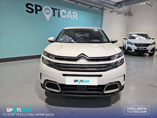 Citroën C5 Aircross  PureTech 96kW (130CV) S&S Feel - Barcelona