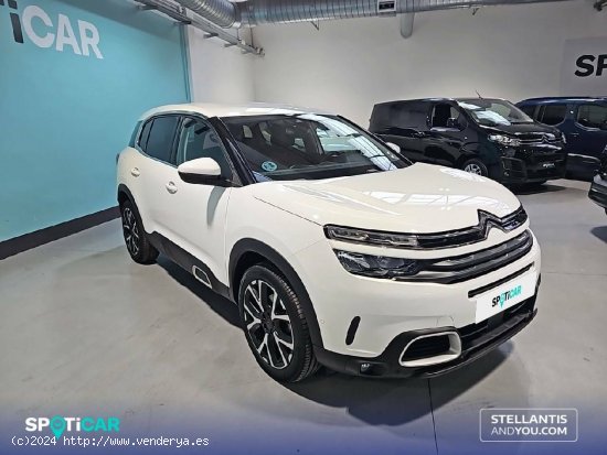 Citroën C5 Aircross  PureTech 96kW (130CV) S&S Feel - Barcelona