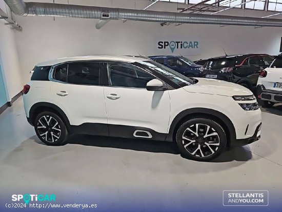 Citroën C5 Aircross  PureTech 96kW (130CV) S&S Feel - Barcelona