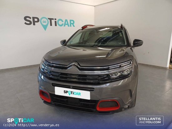 Citroën C5 Aircross  BlueHDi 130kW EAT8 Shine Comfort Class Comfort Class Edition - Zaragoza