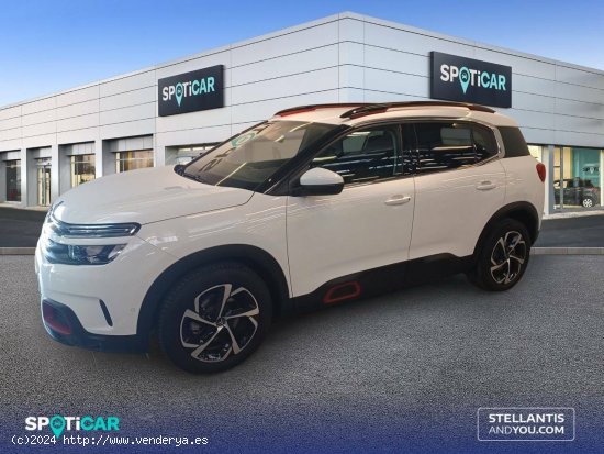 Citroën C5 Aircross  BlueHdi 96kW (130CV) S&S C Series - Zaragoza