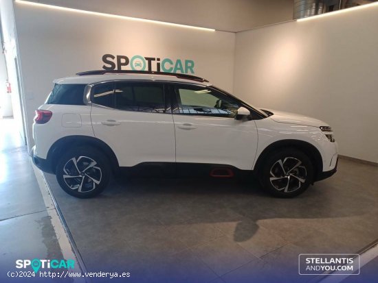 Citroën C5 Aircross  BlueHdi 96kW (130CV) S&S C Series - Zaragoza