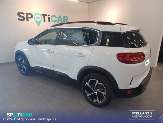 Citroën C5 Aircross  BlueHdi 96kW (130CV) S&S C Series - Zaragoza