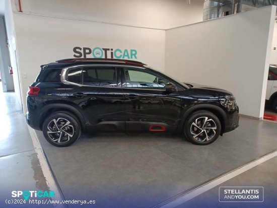 Citroën C5 Aircross  PureTech 96kW (130CV) S&S Feel - Zaragoza