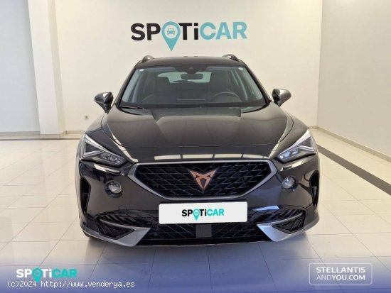 Cupra Formentor  2.0 TDI 110kW (150 CV) - - Ourense